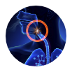 Animated side profile of head with airway circled red